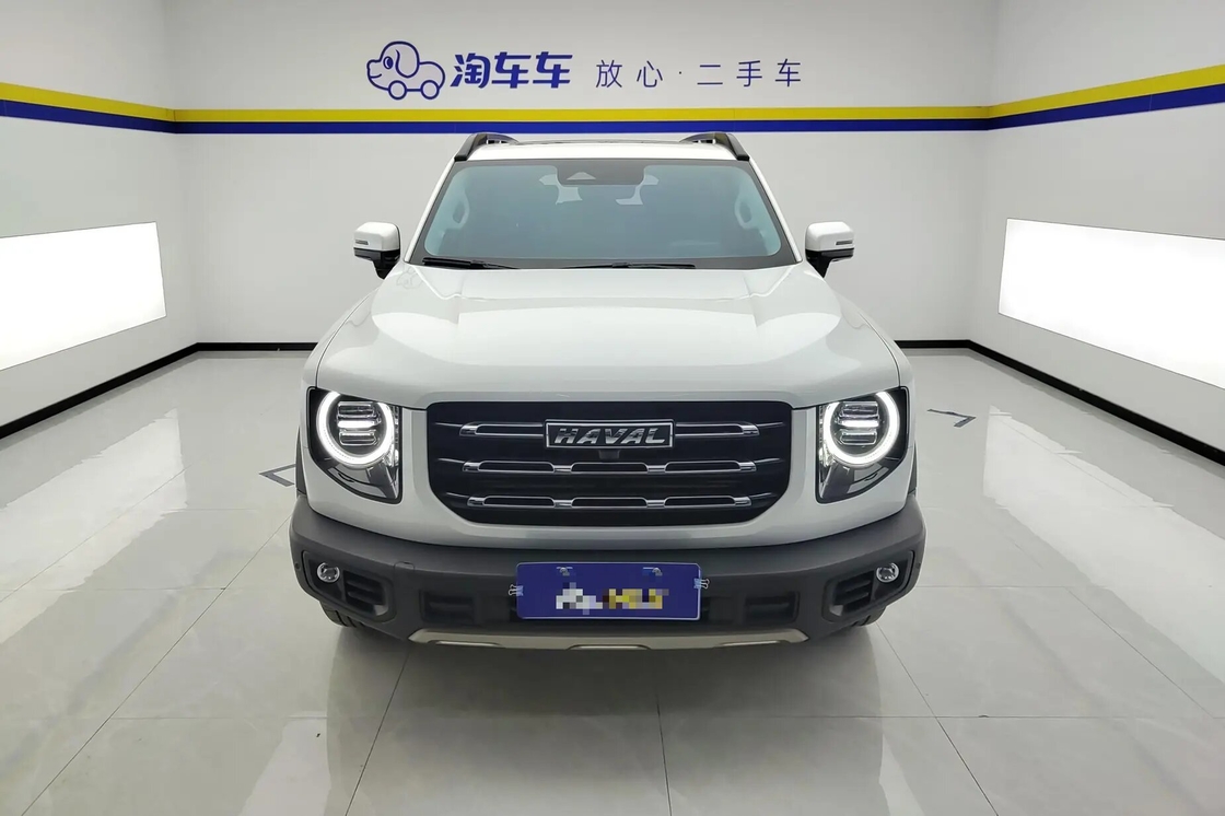 Harga terjangkau Haval Big Dog 2021 1.5T 2WD Border Collie Edition Untuk Dijual 2wd Keluarga mewah