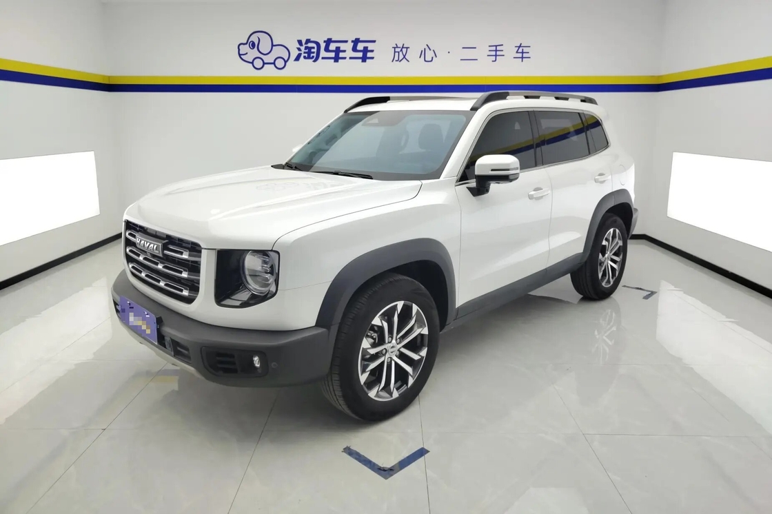 Harga terjangkau Haval Big Dog 2021 1.5T 2WD Border Collie Edition Untuk Dijual 2wd Keluarga mewah