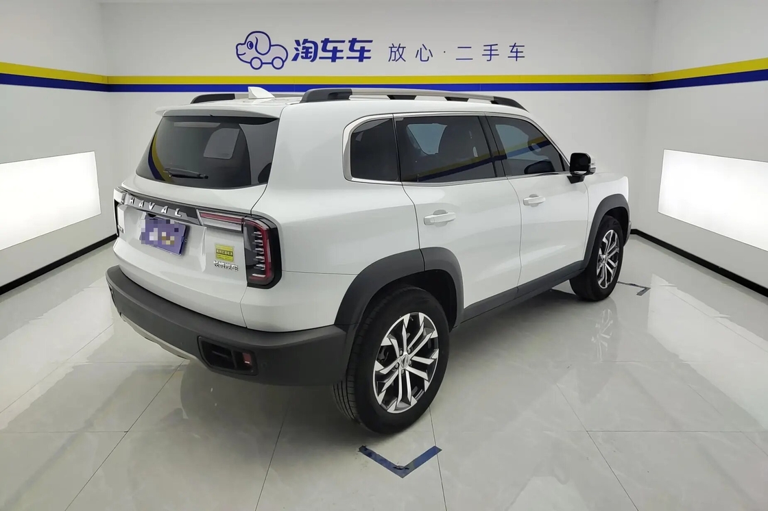 Harga terjangkau Haval Big Dog 2021 1.5T 2WD Border Collie Edition Untuk Dijual 2wd Keluarga mewah